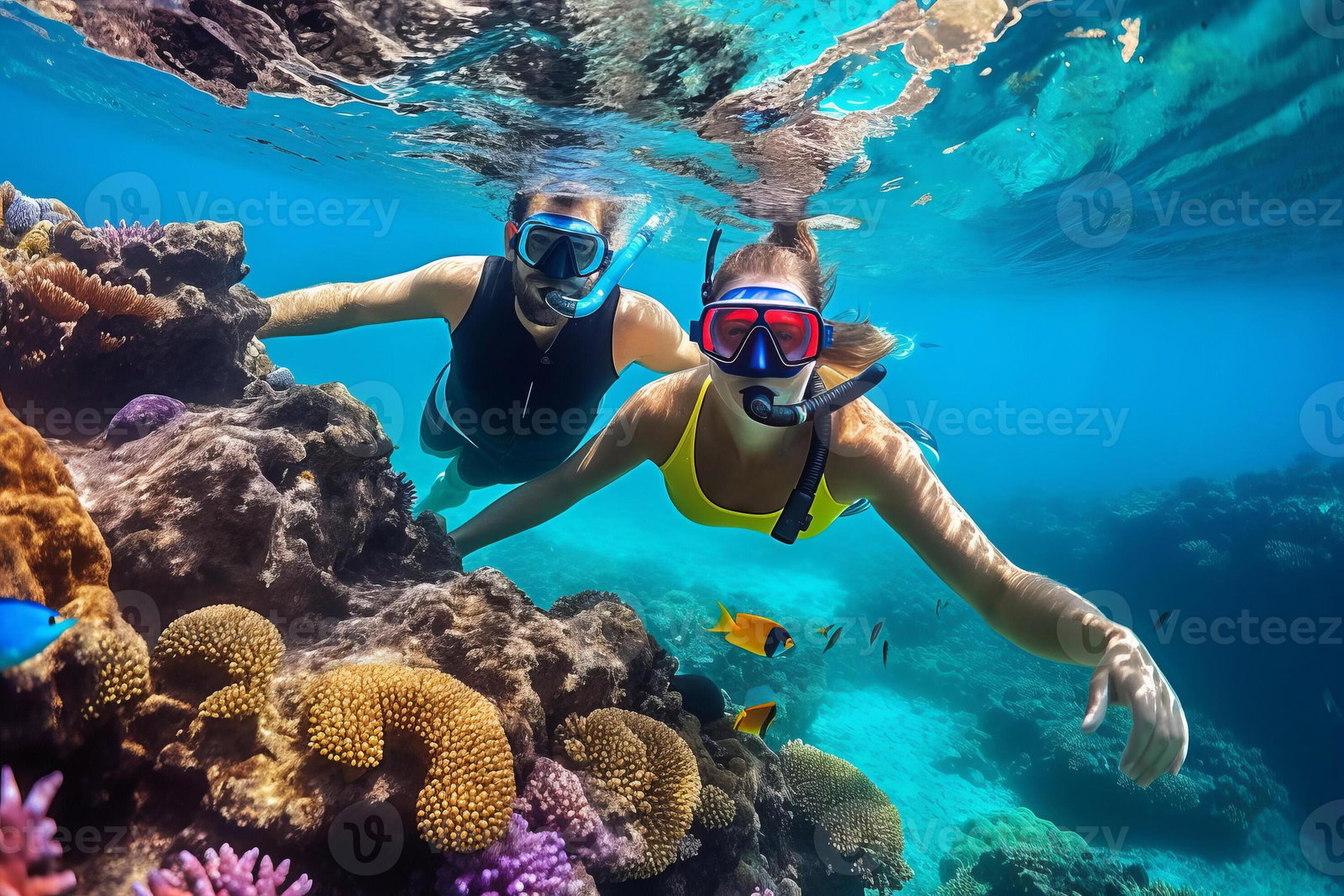 Snorkeling with Thoddoo Marine