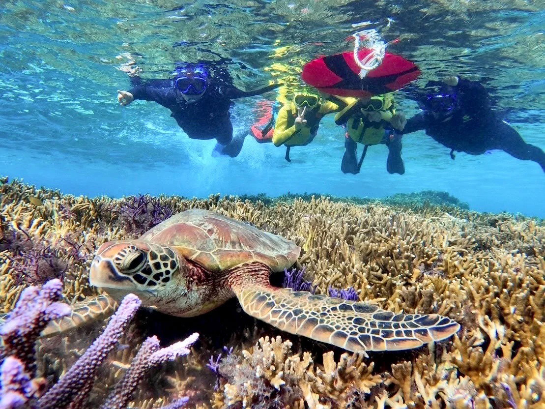 Snorkeling